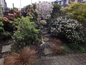 <h5>Front Garden</h5><p>May 2016</p>