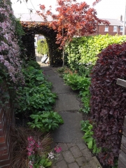 <h5>Side Entrance to Front Garden</h5><p>June 2016</p>