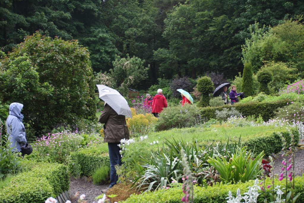 A spot of rain doesn't deter hardy planters