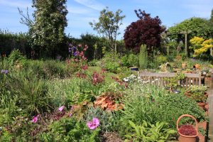 Maggie Duguid's Garden