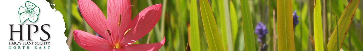 Hardy Plant Society North East