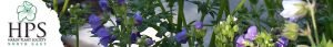 Hardy Plant Society North East