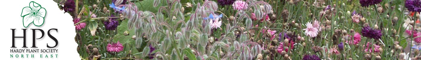 Hardy Plant Society North East