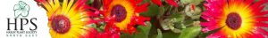Hardy Plant Society North East