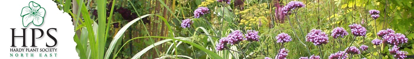 Hardy Plant Society North East