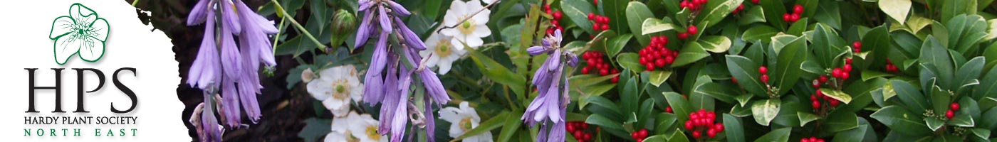 Hardy Plant Society North East