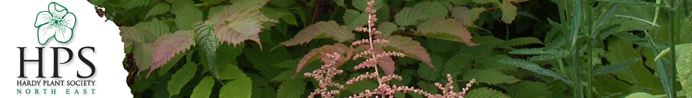 Hardy Plant Society North East