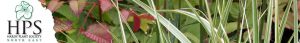 Hardy Plant Society North East