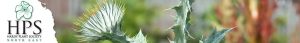 Hardy Plant Society North East