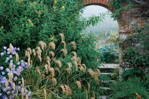 Wall Garden at Great Dixter 