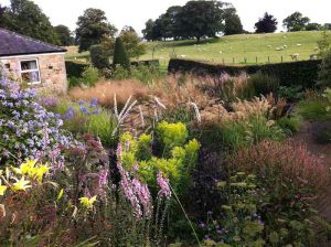  Part of the grass garden, September 2015